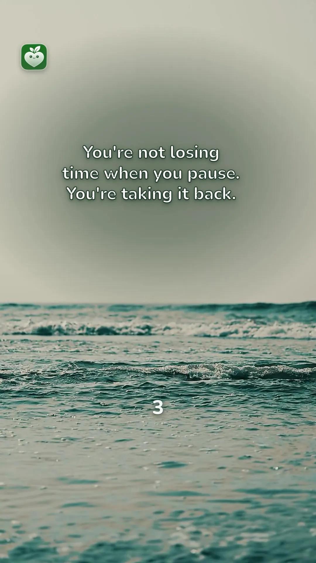 ocean scene with the line: You're not losing time when you pause. You're taking it back.