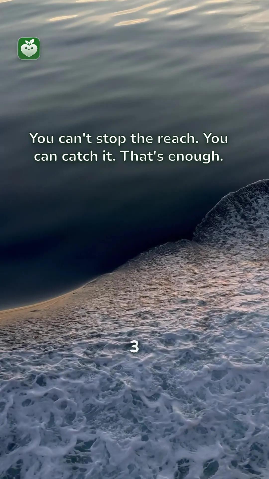 ocean scene with the line: You can't stop the reach. You can catch it. That's enough.