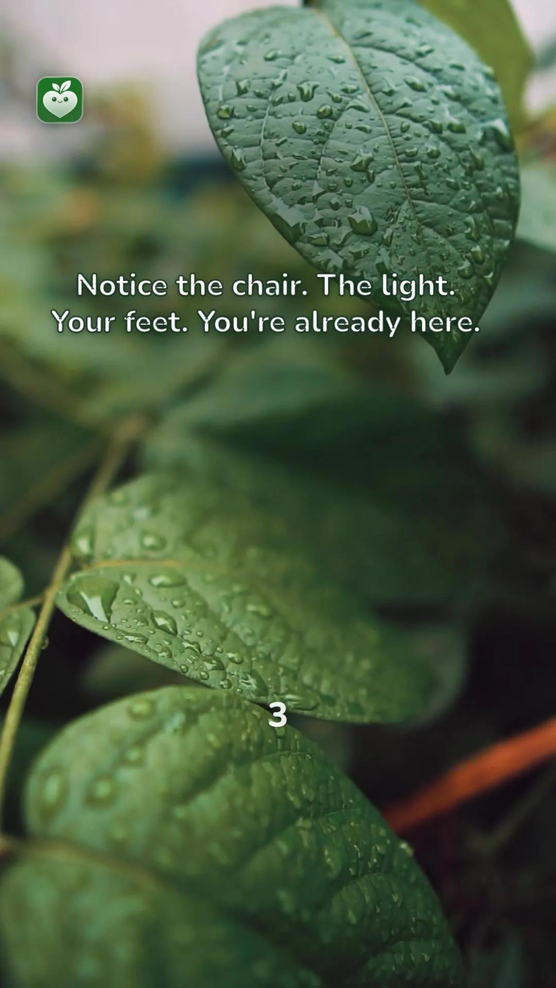 rain scene with the line: Notice the chair. The light. Your feet. You're already here.