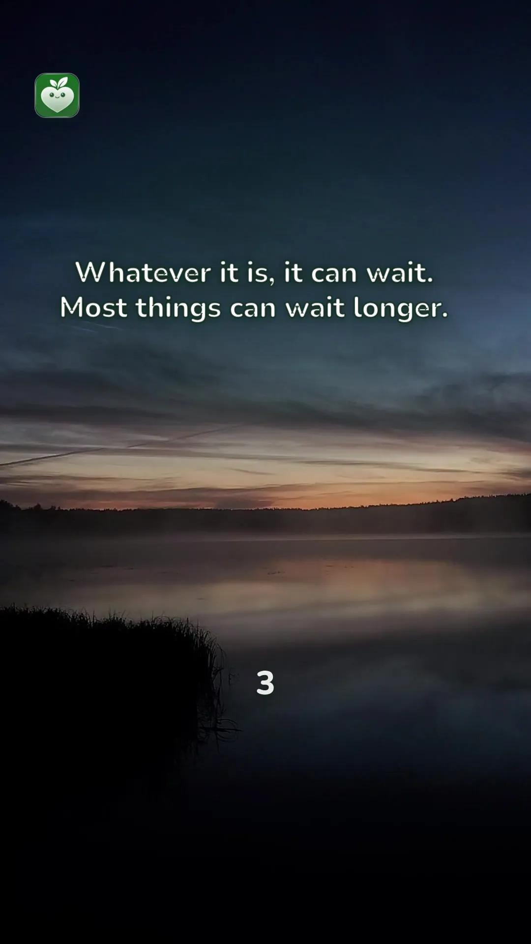 lake scene with the line: Whatever it is, it can wait. Most things can wait longer.