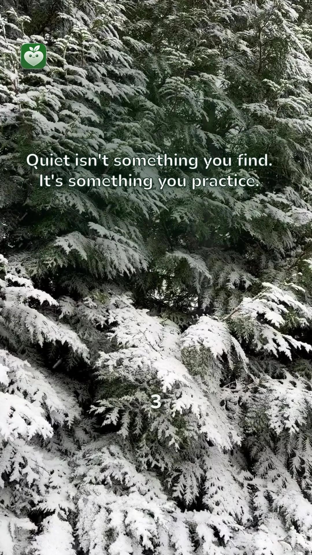 snow scene with the line: Quiet isn't something you find. It's something you practice.