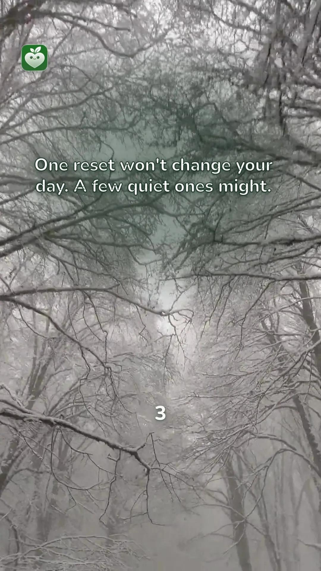 forest scene with the line: One reset won't change your day. A few quiet ones might.