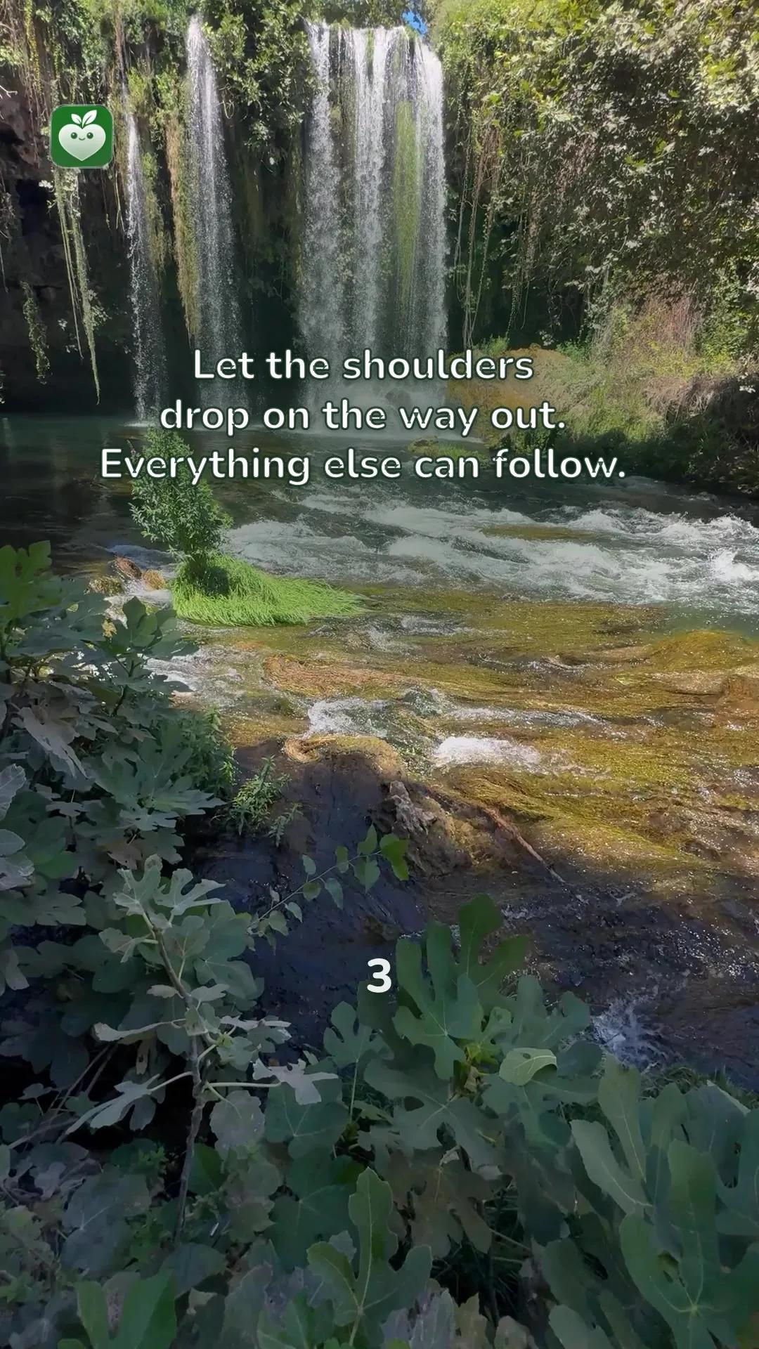 waterfall scene with the line: Let the shoulders drop on the way out. Everything else can follow.