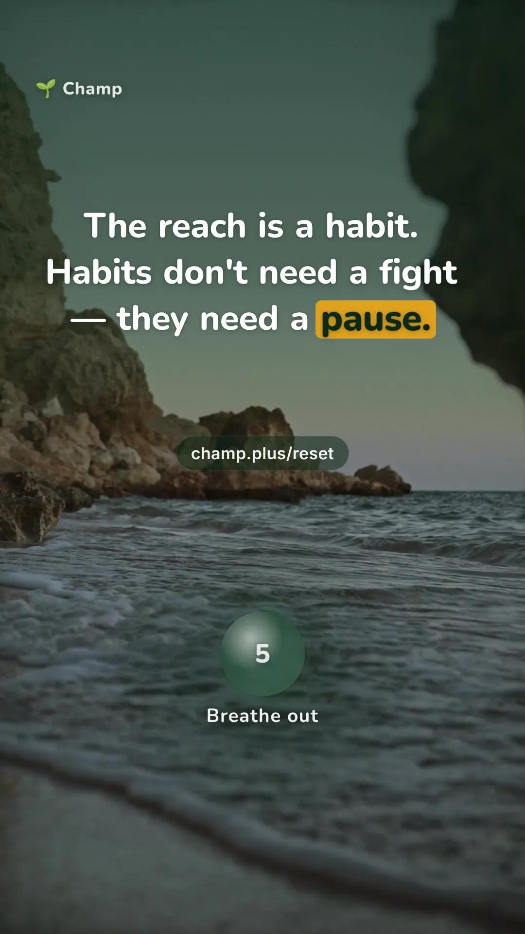 ocean scene with the line: The reach is a habit. Habits don't need a fight. They need a pause.