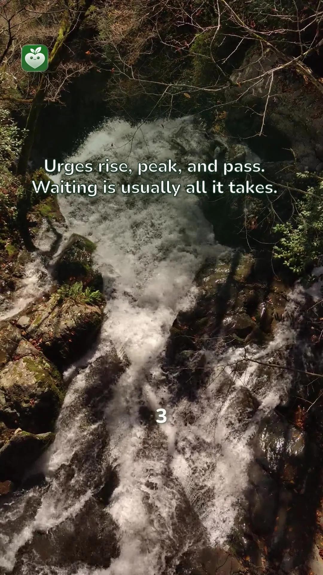river scene with the line: Urges rise, peak, and pass. Waiting is usually all it takes.