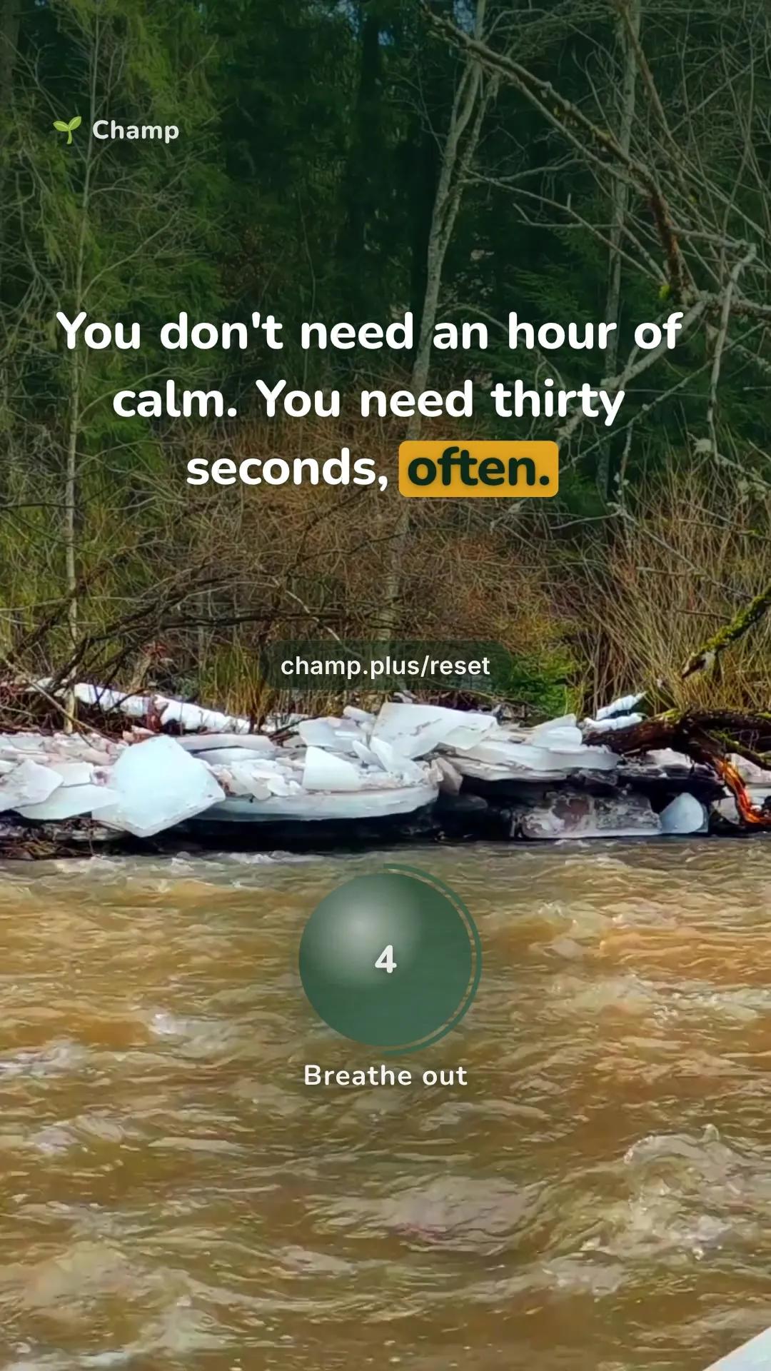 river scene with the line: You don't need an hour of calm. You need thirty seconds, often.