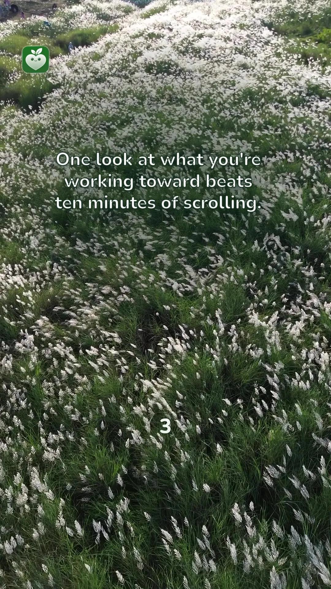 field scene with the line: One look at what you're working toward beats ten minutes of scrolling.