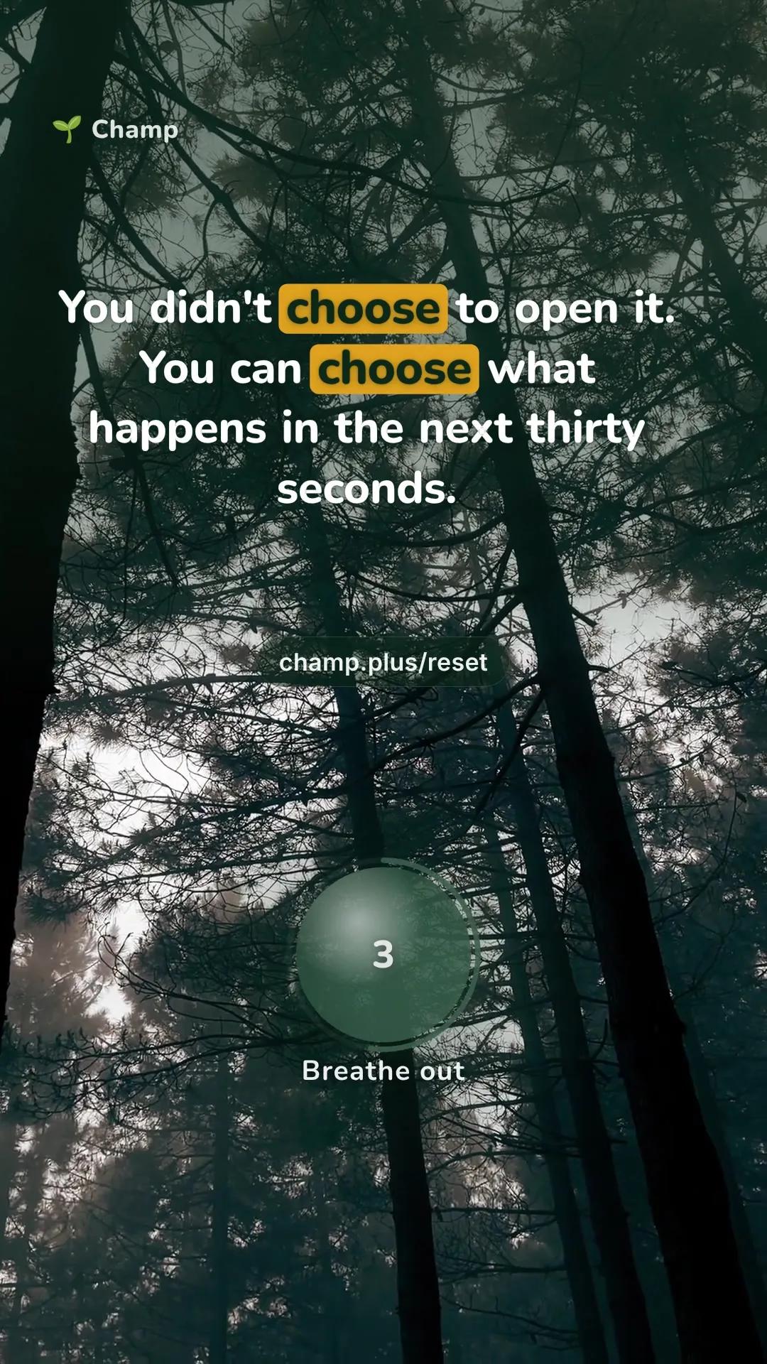 forest scene with the line: You didn't choose to open it. You can choose what happens in the next thirty seconds.