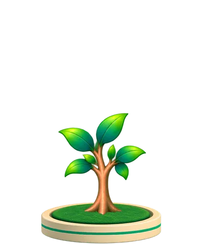 The tree on day 3